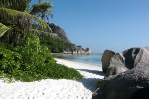 NBA总决赛冠军最终预测，nba总决赛冠军今年