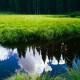 世界乒乓球青少年师资认证体系进入实施阶段，乒乓球青少年冠军